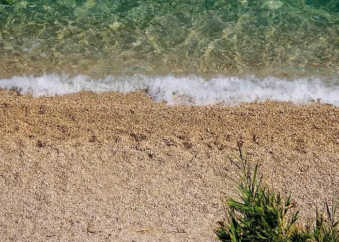 Terra Park Spiritos * Kolan