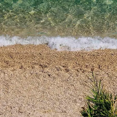 Terra Park Spiritos * Kolan