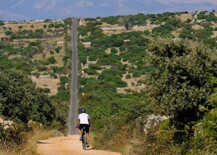 假日公园 Terra Park Spiritos